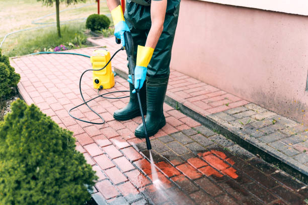 Best Roof Cleaning and Mildew Removal in East Griffin, GA
